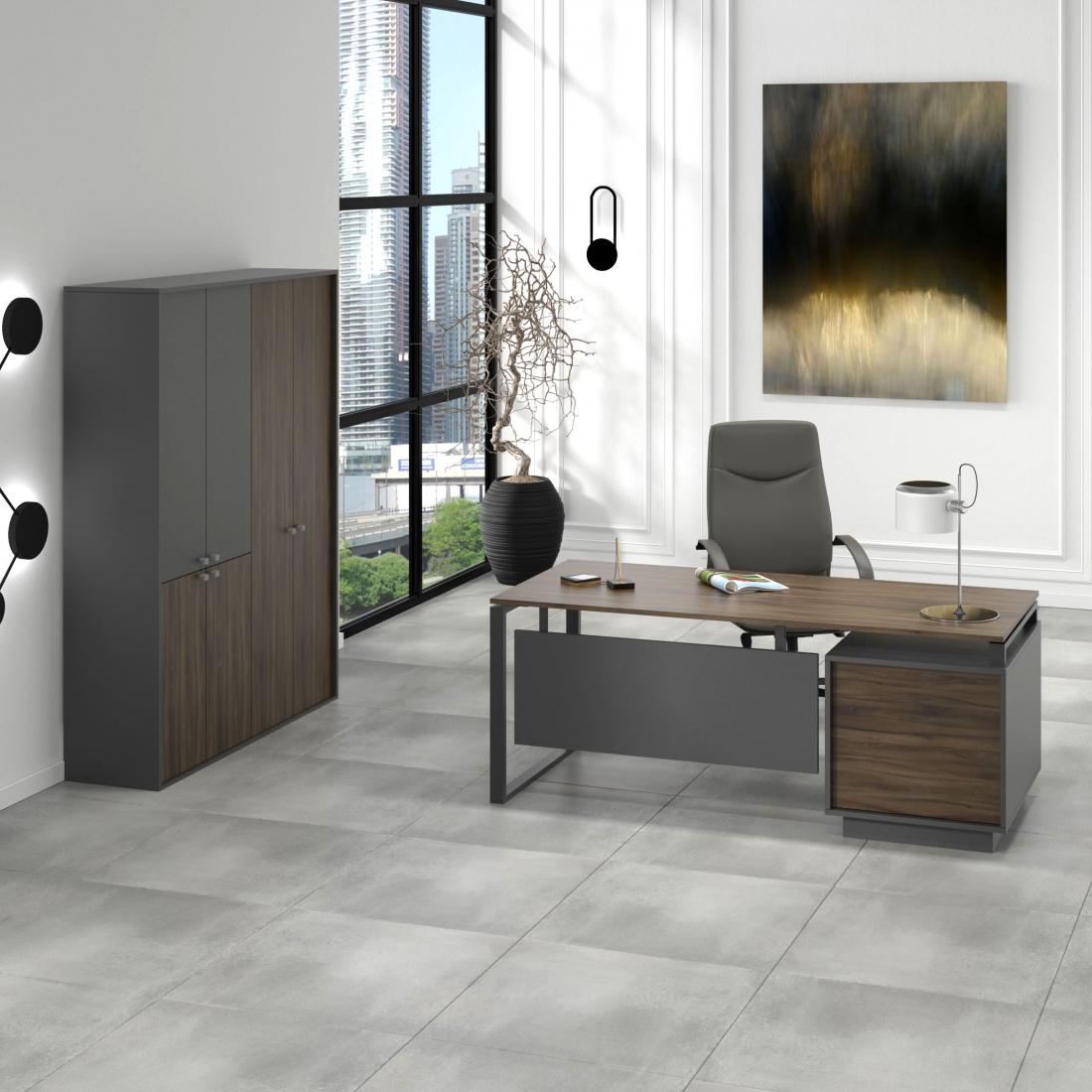 Ofis mebeli 1123