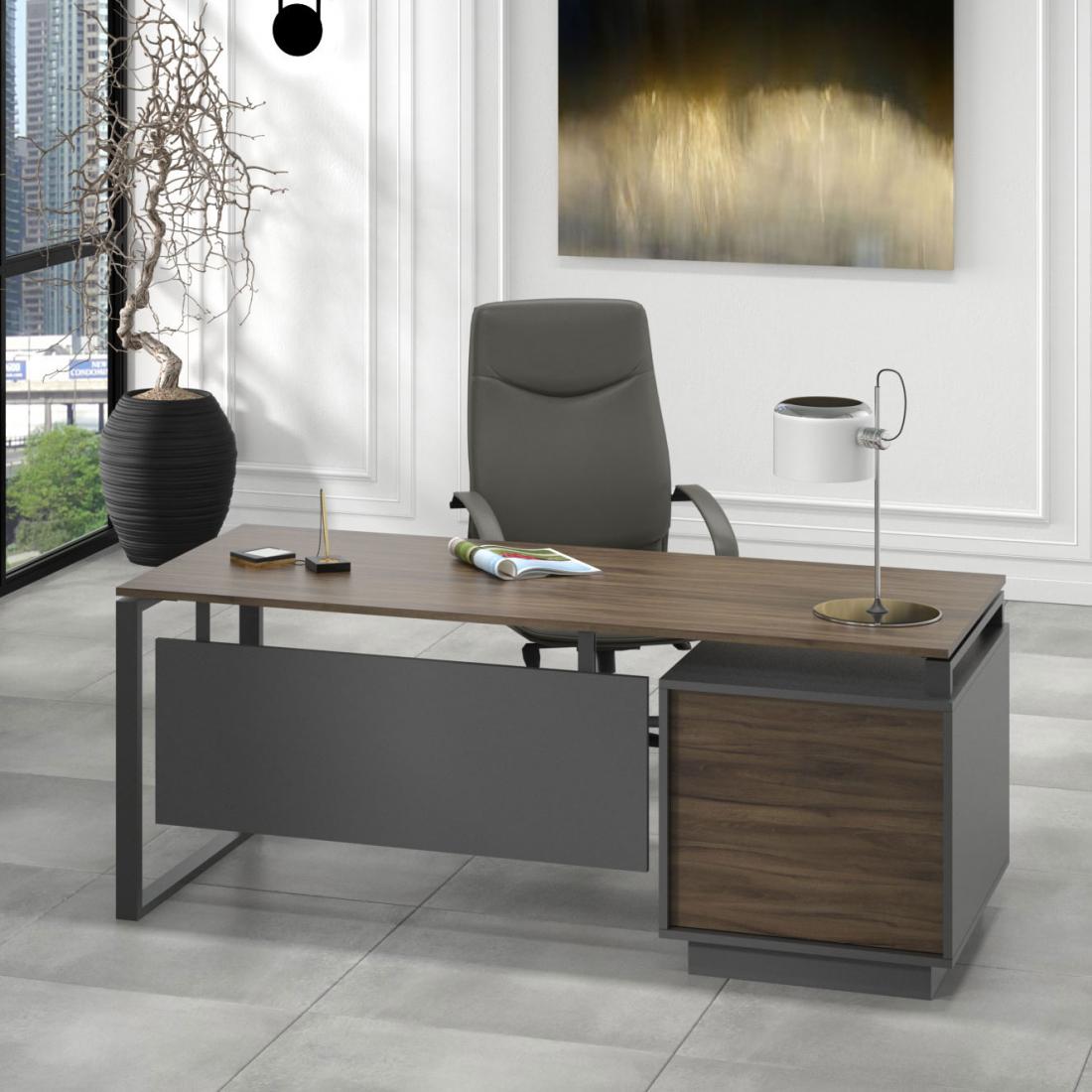 Ofis mebeli 1123