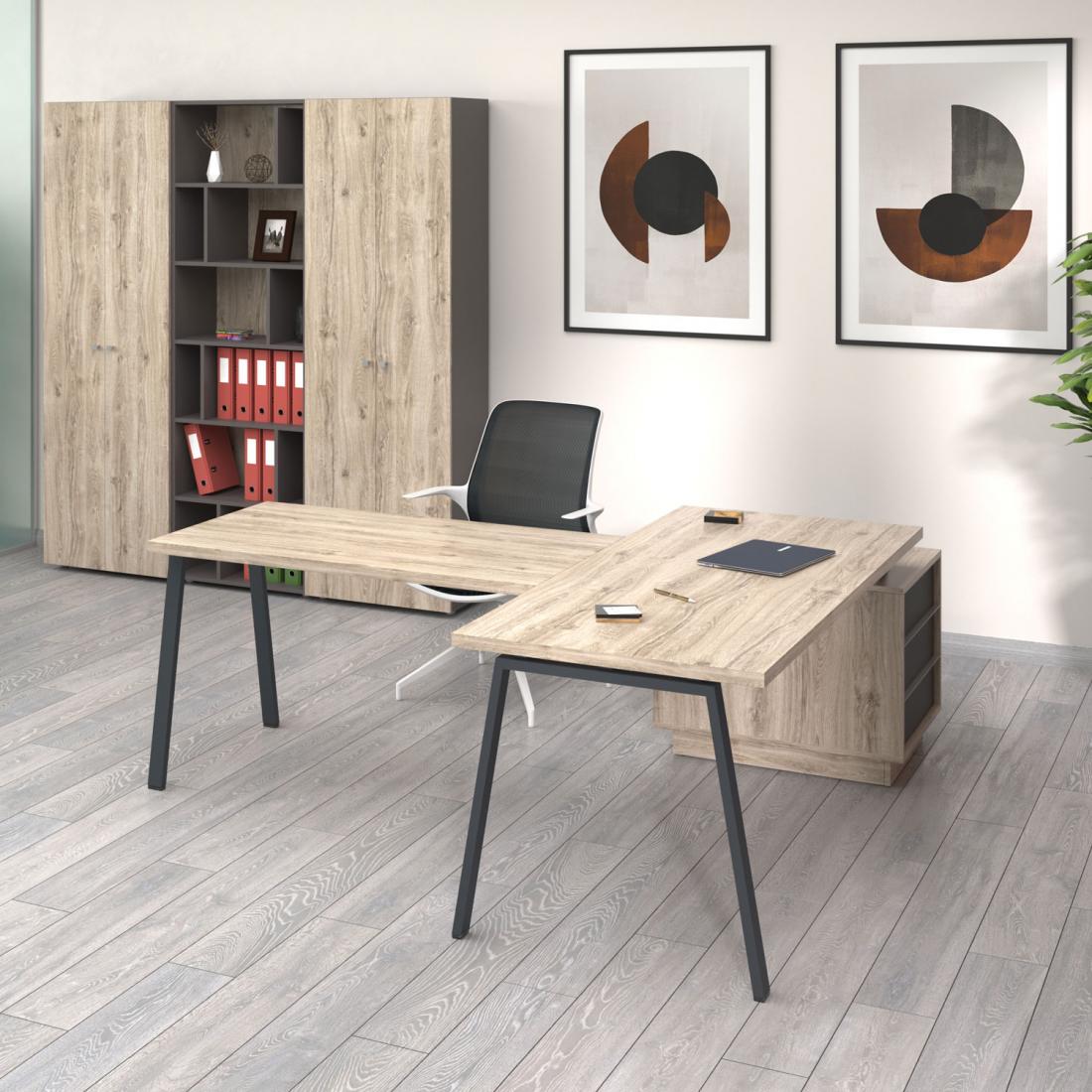 Ofis mebeli 21121